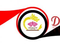 cong-ty-luat-dragon-banner-1200-250