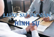 Luật sư tư vấn chuyên về luật hình sự