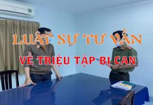 Quy định triệu tập bị can trong vụ án hình sự như thế nào?