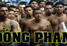 Mức hình phạt trong phạm vi khung hình phạt của những đồng phạm