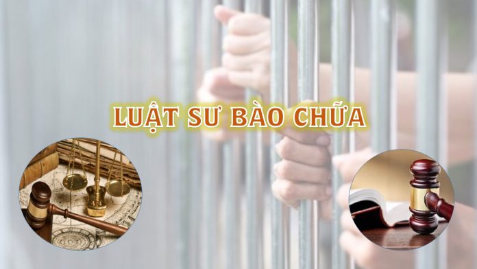 thue luat su bao chua