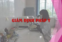 Thời gian giám định pháp y theo quy định mới nhất