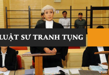 Dịch vụ luật sư tham gia bào chữa cho bị can, bị cáo