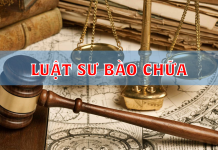 Luật Sư Bào Chữa: Tất Cả Những Gì Bạn Cần Biết