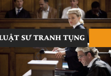 Luật sư bào chữa uy tín tại Hà Nội