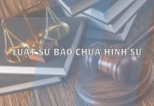 Luật sư bào chữa vụ án hình sự tại Hà Nội: Tất cả những gì bạn cần biết năm 2023