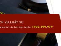 thue luat su tranh tung