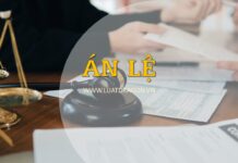 Án lệ 81/2025 và triết lý ‘có nợ phải trả’