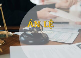 Án lệ 81/2025 và triết lý ‘có nợ phải trả’