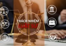 Trách nhiệm hàng năm của một luật sư khi hoạt động tại Việt Nam