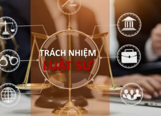 Trách nhiệm hàng năm của một luật sư khi hoạt động tại Việt Nam