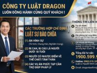cac truong hop chi dinh luat su bao chua