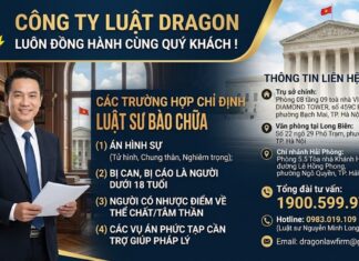 Các trường hợp chỉ định luật sư bào chữa (người phạm tội không mời)