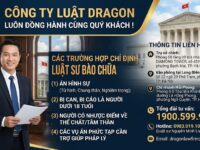 chi dinh luat su bao chua