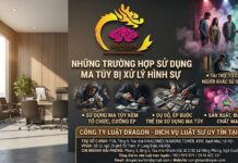Những trường hợp nào sử dụng ma túy sẽ bị xử lý hình sự