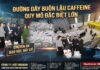 Triệt phá đường dây buôn lậu hơn 50 tấn Caffeine: “Lỗ hổng pháp lý” bị lợi dụng để phục vụ sản xuất ma túy xuyên quốc gia?