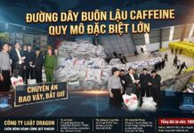 Triệt phá đường dây buôn lậu hơn 50 tấn Caffeine: “Lỗ hổng pháp lý” bị lợi dụng để phục vụ sản xuất ma túy xuyên quốc gia?