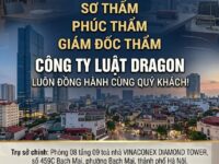 dich vu luat su bao chua cong ty luat dragon