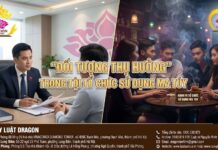 “Đối tượng thụ hưởng” trong tội tổ chức sử dụng ma túy