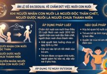 Án lệ số 84/2026/AL về chấm dứt việc nuôi con nuôi là người chưa thành niên khi người nhận con nuôi là người độc thân chết
