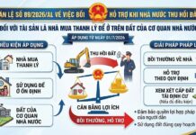 Án lệ số 89/2026/AL Về việc bồi thường, hỗ trợ khi nhà nước thu hồi đất đối với tài sản là nhà mua thanh lý đế ở trên đất của cơ quan nhà nước