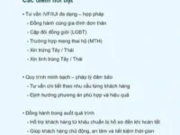 duoi-vo-boc-tu-van-mot-duong-day-de-thue-dang-van-hanhanh-chup-man-hinh-17805896706702084996767