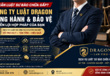 Cần luật sư bào chữa gấp? Công ty luật Dragon đồng hành 24/7 bảo vệ quyền lợi hợp pháp của bạn