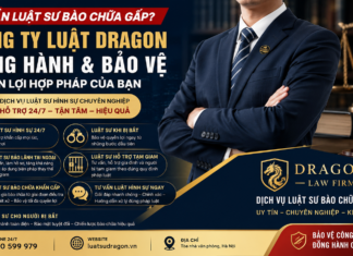 Cần luật sư bào chữa gấp? Công ty luật Dragon đồng hành 24/7 bảo vệ quyền lợi hợp pháp của bạn