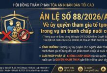 Án lệ số 88/2026/AL về ủy quyền tham gia tố tụng trong vụ án tranh chấp nuôi con