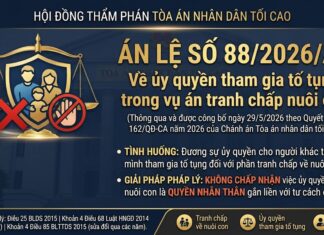 Án lệ số 88/2026/AL về ủy quyền tham gia tố tụng trong vụ án tranh chấp nuôi con