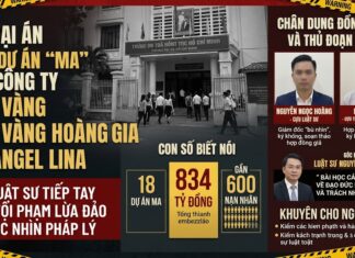 Toàn cảnh vụ án lừa đảo xuyên quốc gia: 18 dự án “ma” và hơn 834 tỷ đồng biến mất