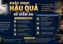 Khắc phục hậu quả để giảm án: Phân tích chuyên sâu dưới góc độ pháp lý