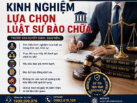 kinh nghiem chon thue luat su bao chua