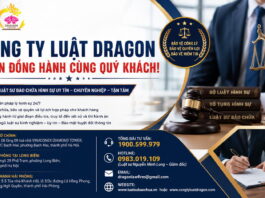 Luật sư bào chữa là gì? Khi nào nên thuê luật sư bào chữa? Chi phí, thủ tục và kinh nghiệm lựa chọn luật sư bào chữa uy tín tại Hà Nội