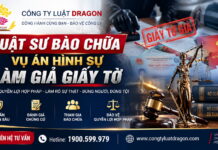 Luật sư bào chữa vụ án hình sự làm giả giấy tờ bảo vệ quyền lợi và làm gõ trách nhiệm pháp lý