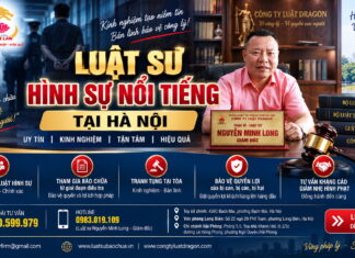Luật sư hình sự nổi tiếng: Uy tín, kinh nghiệm và năng lực tranh tụng – Điều gì thực sự quan trọng?