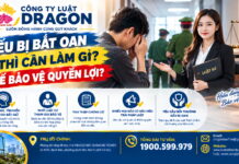 Nếu bị bắt oan thì cần làm gì để bảo vệ quyền lợi?