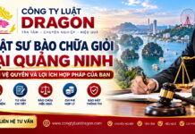 Luật sư bào chữa giỏi tại Quảng Ninh