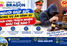 Người giúp sức trong vụ án hình sự phải chịu trách nhiệm như thế nào?