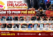 20 vấn đề pháp lý hình sự nên biết